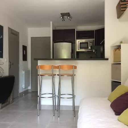 With Terrace & Garden In Juan Les Pins Close Seaside דירה